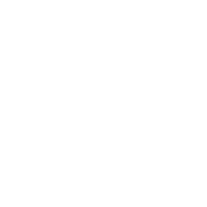 Brooklyn Commons