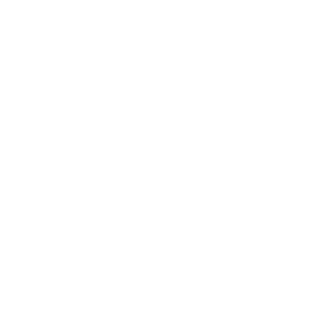 New York City Council Member Crystal Hudson