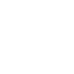 Disney Original Documentary