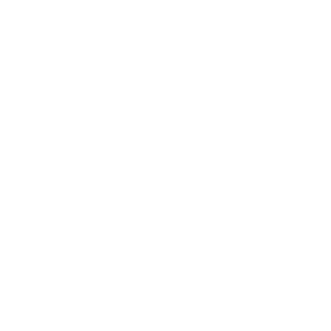 Fort Greene Tennis Association