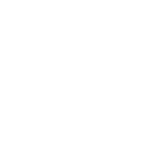 New York City Council Member Francisco Moya