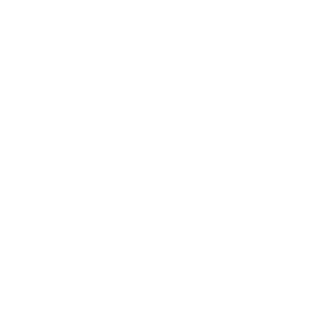 The BRO Experience Foundation