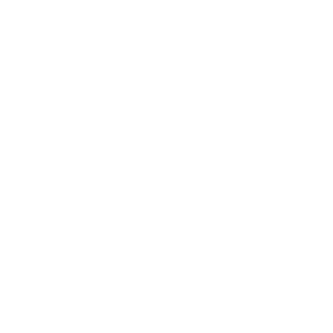 Fort Greene Park Conservancy