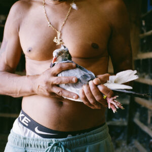 Pigeon Religion (World Premiere)